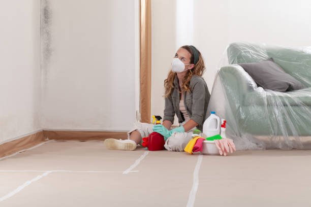 Trusted Attic Mold Removal service in Oxford, MI - Cheap Mold Removal